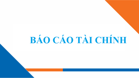 Báo cáo tài chính hợp nhất năm 2025